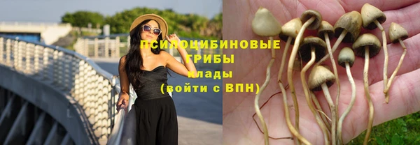 прущая мука Дмитровск