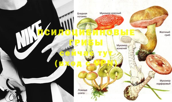 MDMA Дмитров