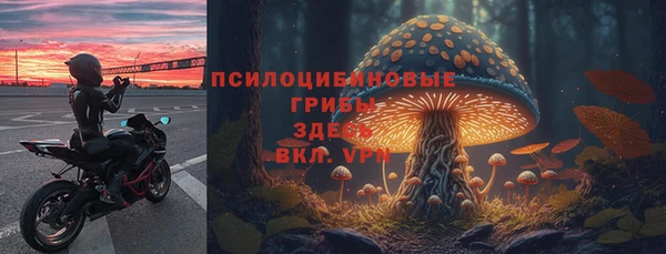 кокаин колумбия Дмитриев