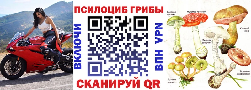 Псилоцибиновые грибы ЛСД  Купить где  Усть-Катав 